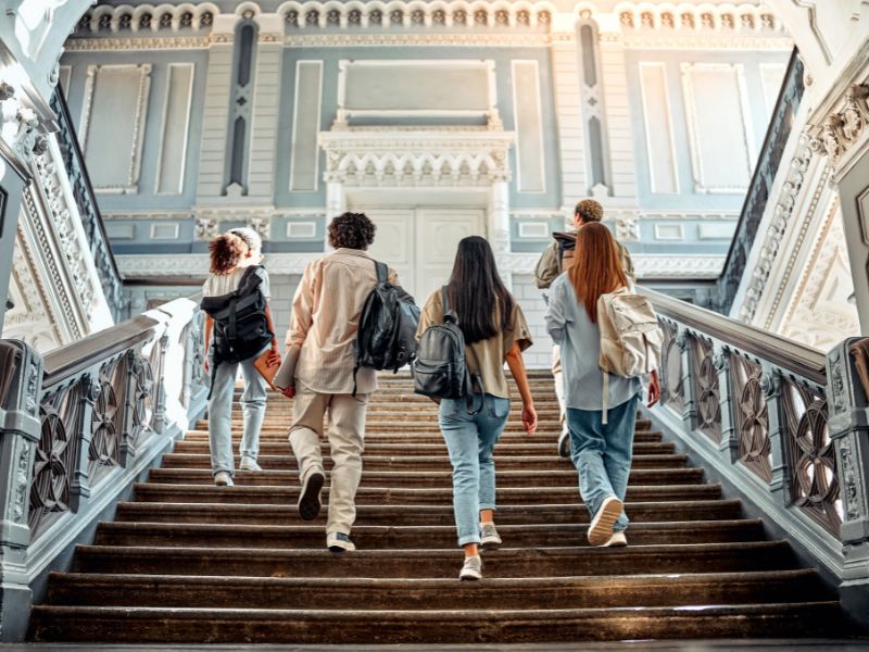 prikaz petoro studenata koji se penju uz stepenice fakulteta